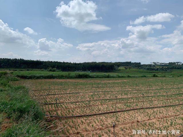 一亩地多少个平方(一亩地多少个平方面,怎样算)