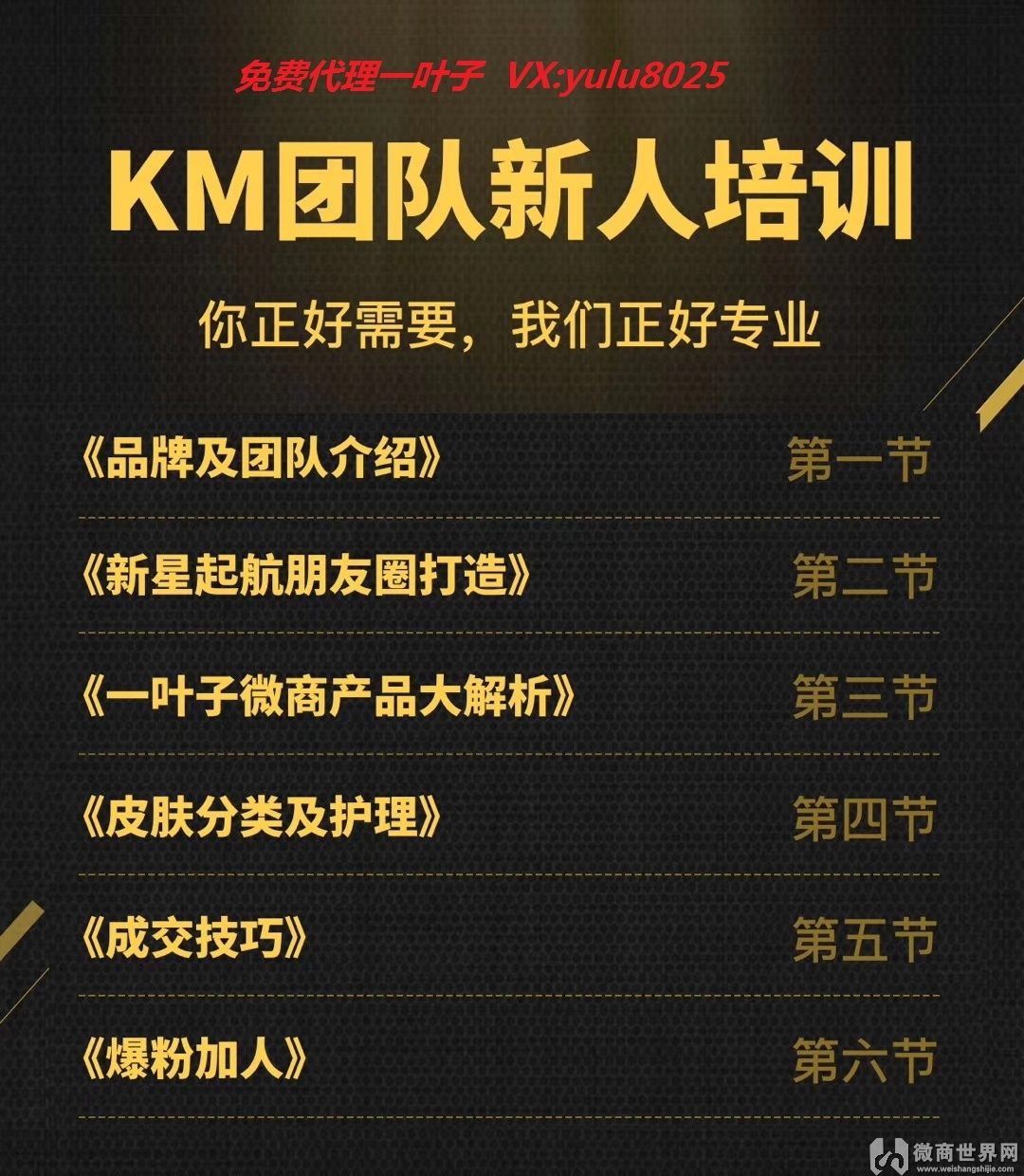 品牌微商代理(微商产品代理)