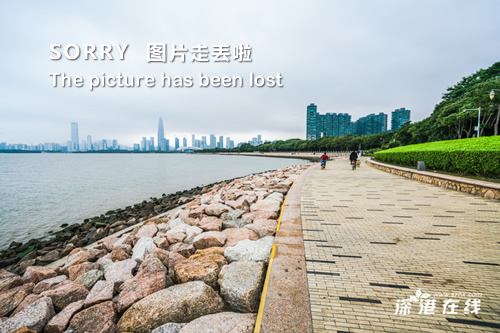 微博小号怎么买(怎么样买微博小号)