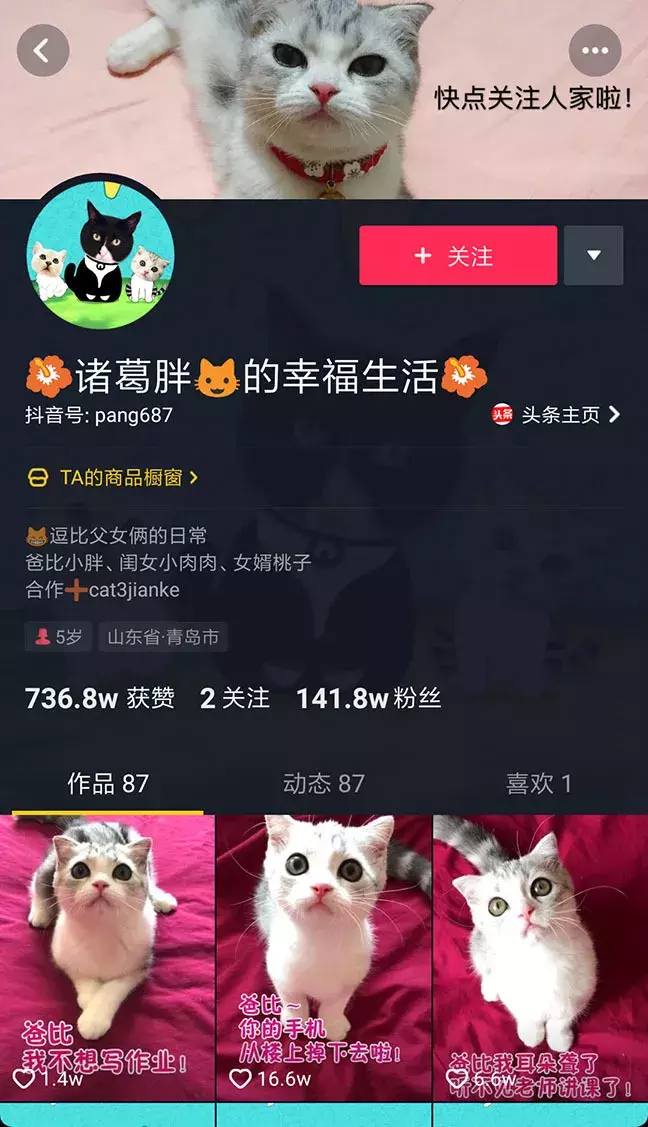 抖音广告语(抖音广告语大全 经典版)