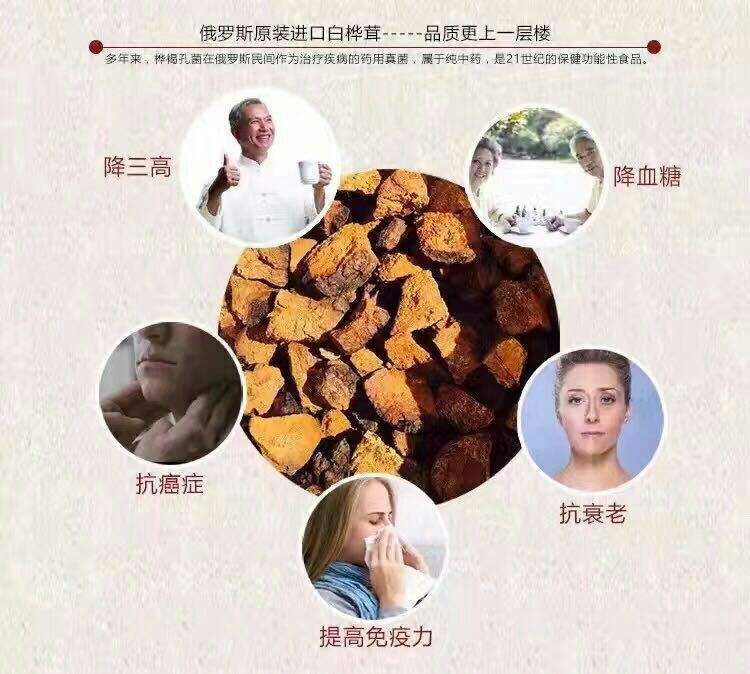 白桦茸的功效(白桦茸的功效与作用茸多少钱一斤)