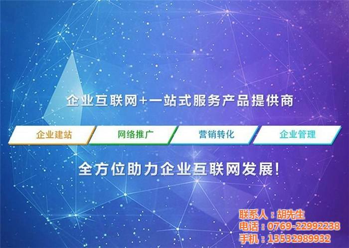 网络推广公司排名(网站推广公司排行)