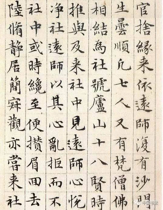 社图(p图软件下载)