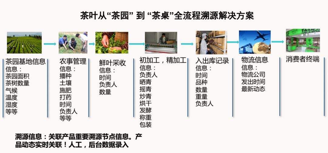 茶叶营销(茶艺与茶叶营销)