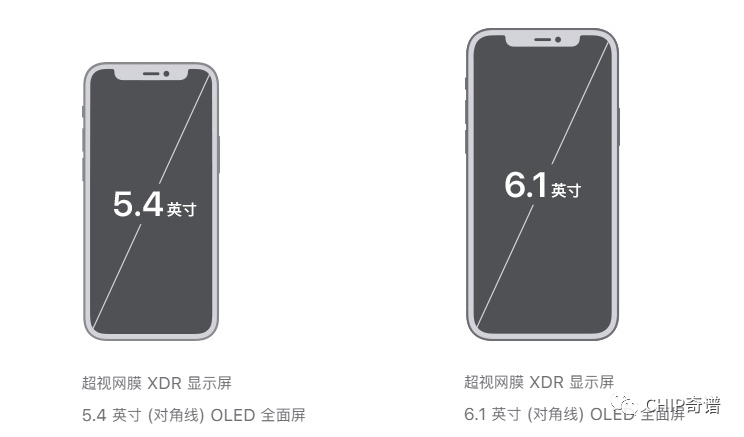 iphonexr尺寸多大(iphonexr尺寸多大屏幕)