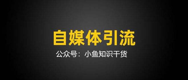 引流方案(引流的最快方法是什么)