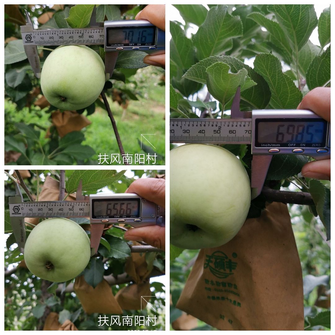 一亩地怎么测量(一亩地怎么测量面积)