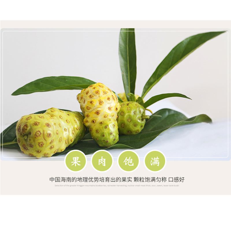 诺丽果怎么吃(诺丽果怎么吃诺丽果的功效与作用)