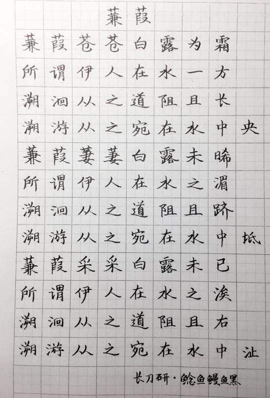 蒹葭怎么读(蒹葭苍苍白露为霜所谓伊人在水一方)