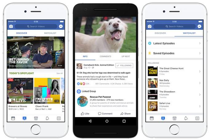 国内怎么上facebook(国内怎么上维基百科)