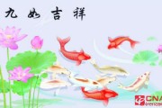 吉祥如意是什么意思(十日之内有吉祥如意是什么意思)