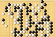 围棋怎么分胜负(围棋怎么分胜负软件)