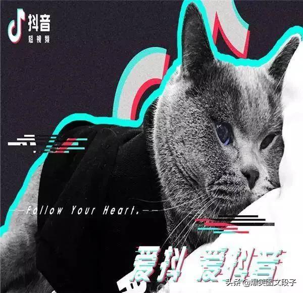 抖音限流
:抖音垂直度和限流有什么内在联系么？