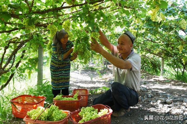 贺娇龙视频
:去新疆自驾旅游多少天合适，怎样不绕路看遍新疆美景？