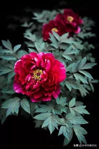 小商品加工
:利用农村闲置劳动力代加工小商品怎么样？有合适的类别项目吗？