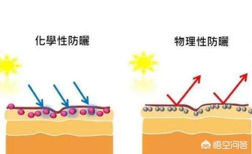 dhc防晒霜
:有什么好用的纯物理防晒吗?