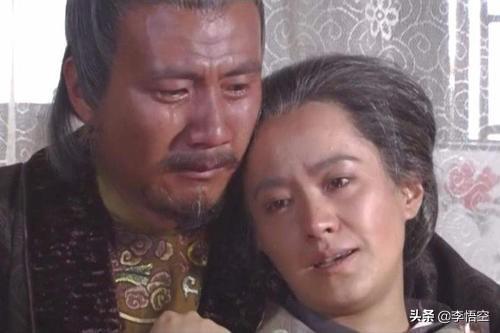 胡军电视剧
:怎样评价胡军版的朱元璋？