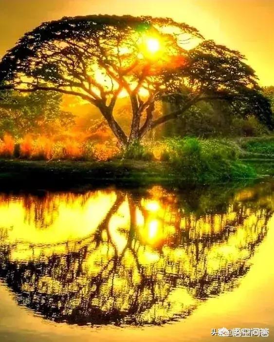 禅定空间
:现阶段人类无法通过物质世界探索宇宙,那是否可以通过意识形态(精神力)进入量子空间?