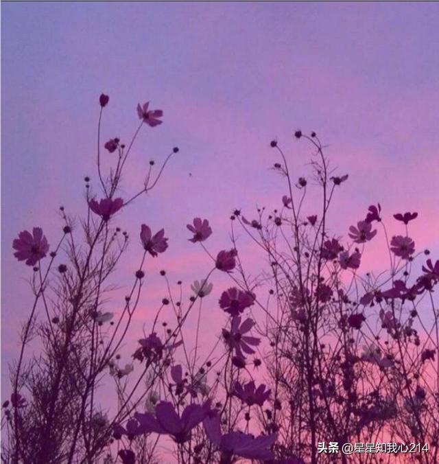 几点发朋友圈看的人多
:请问你们隔多久发一次朋友圈?