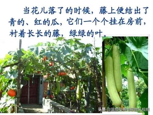 照例的意思是什么
:《乡下人家》蕴含什么感情？