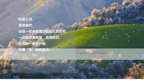 春天文案