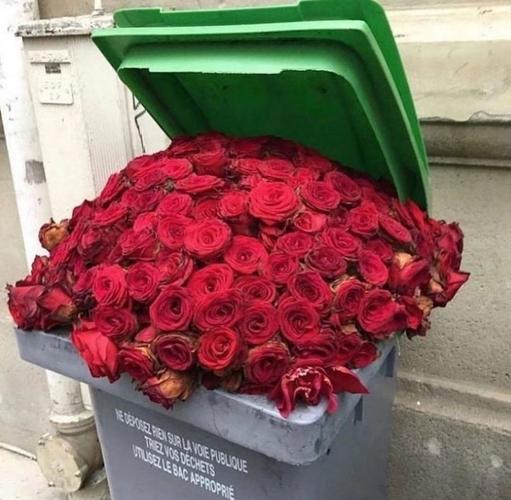 关于玫瑰的文案
