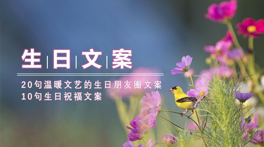 生日祝福文案