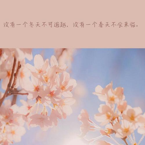疫情过后文案