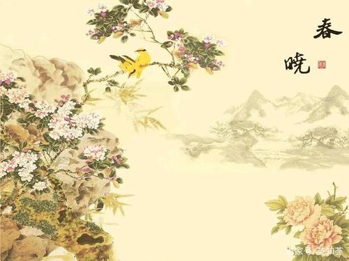 什么是写作背景