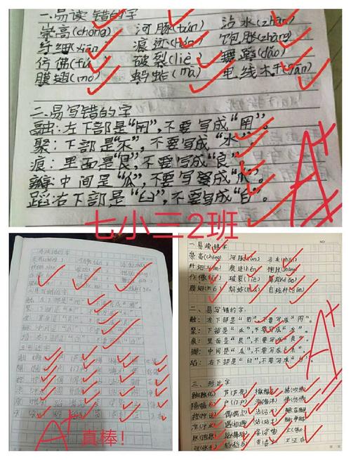 ﻿写作业违法吗