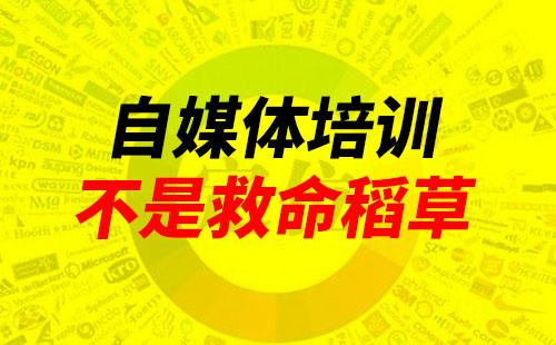 学习自媒体