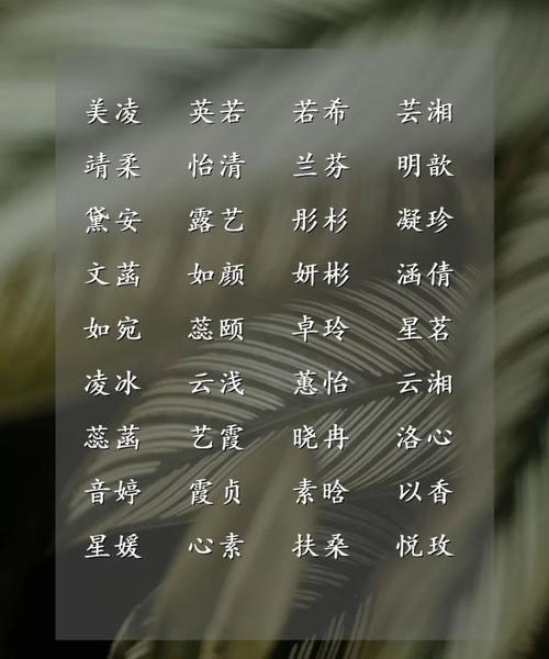 自媒体名字全集