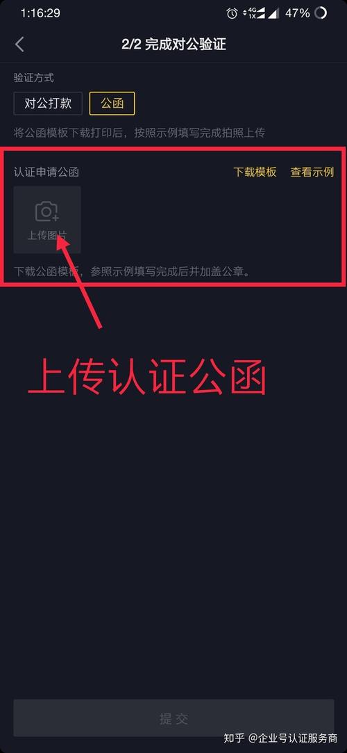 qq蓝v认证怎么弄的