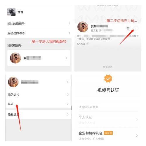 个人黄v认证