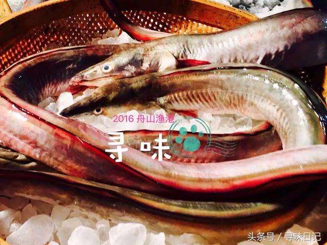 海鱼都有哪些(孕期吃的海鱼都有哪些)