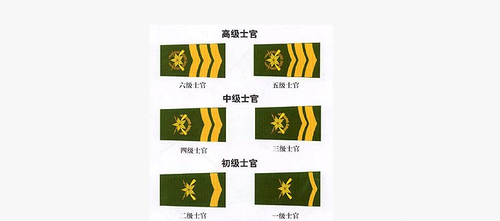 四级士官是什么级别(武警四级士官是什么级别)