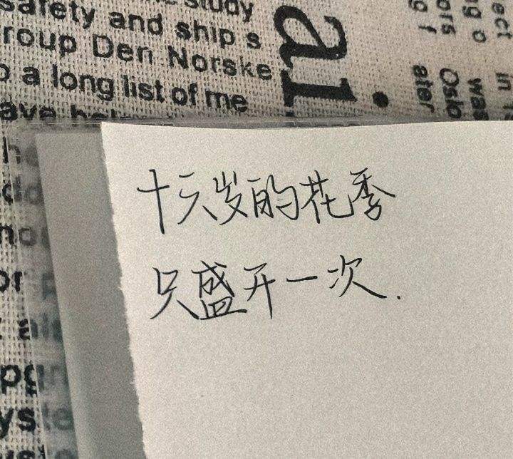 发圈文案(发朋友圈文案app软件)