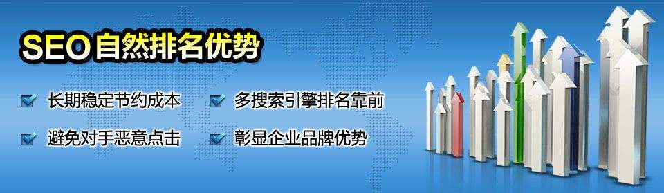 seo宣传推广(seo推广营销公司)