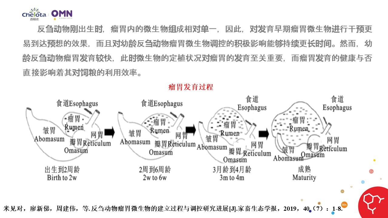 反刍动物有哪些(反刍动物有哪些分别有几个胃)