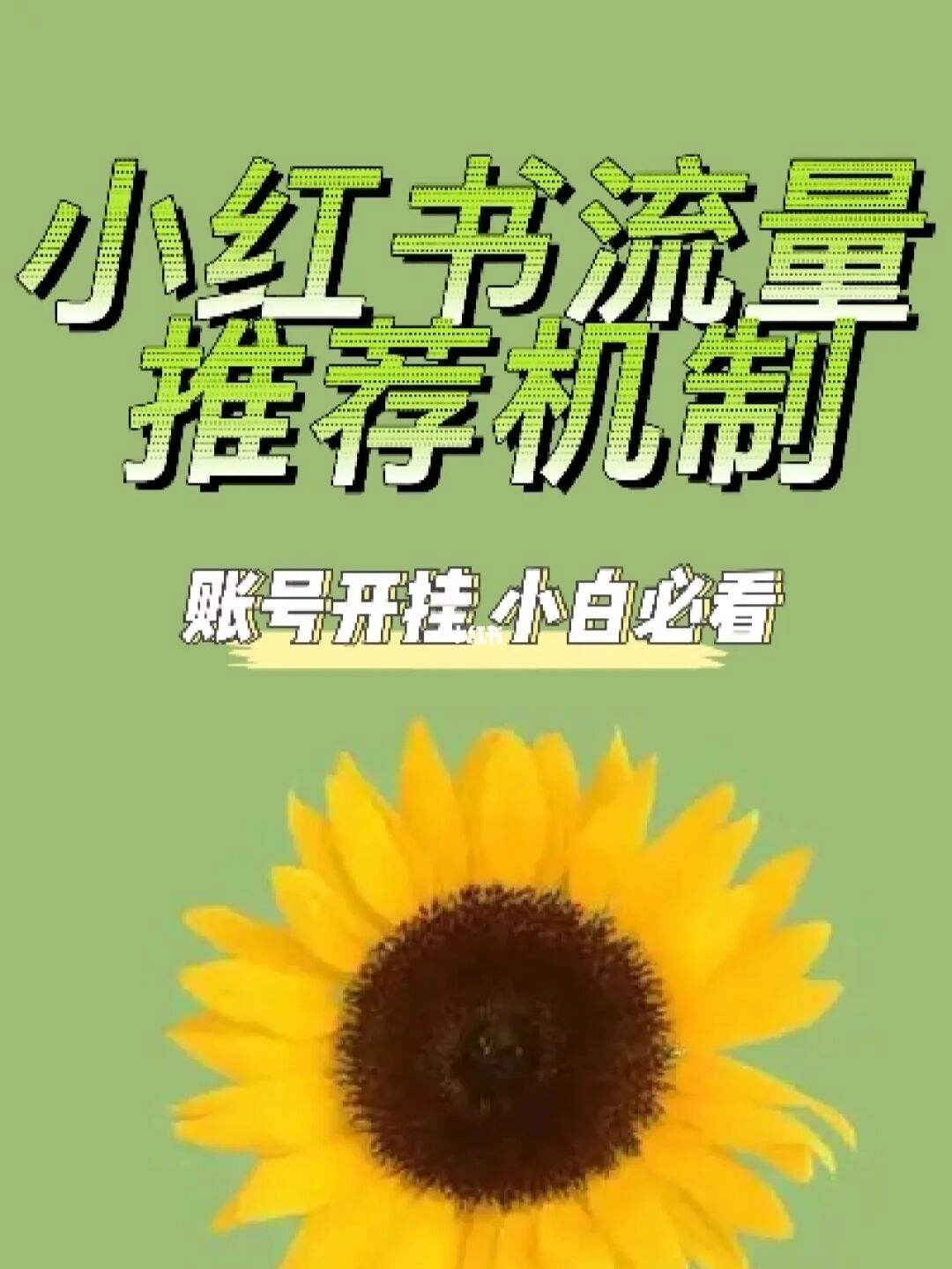 小红书流量(小红书流量高峰时间段)