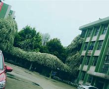 西华大学专科(西华大学专科批)