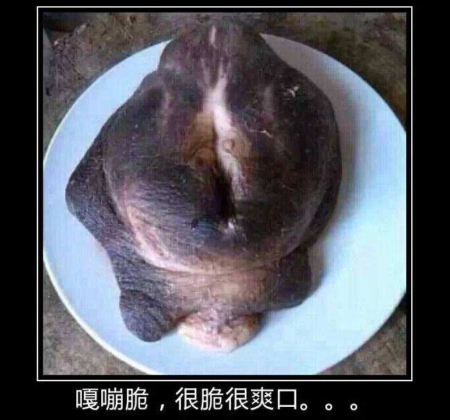牛欢喜是牛的哪个部位(牛身上什么叫牛欢喜)