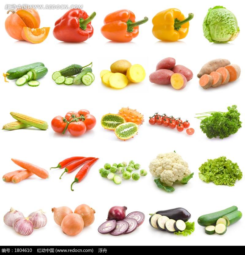 蔬菜种类大全(蔬菜种类大全名字图片)