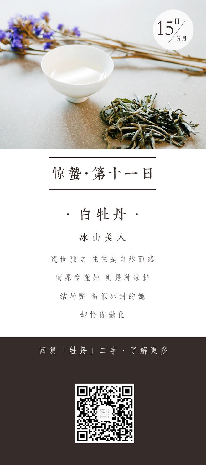 茶文案(茶文案句子有意境)