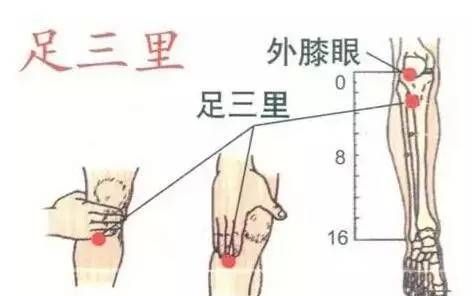 找足三里最笨的方法(找足三里最笨的方法图片 最准确)