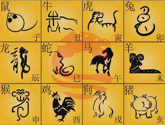 九七年属什么(九七年属什么的金木水火土)