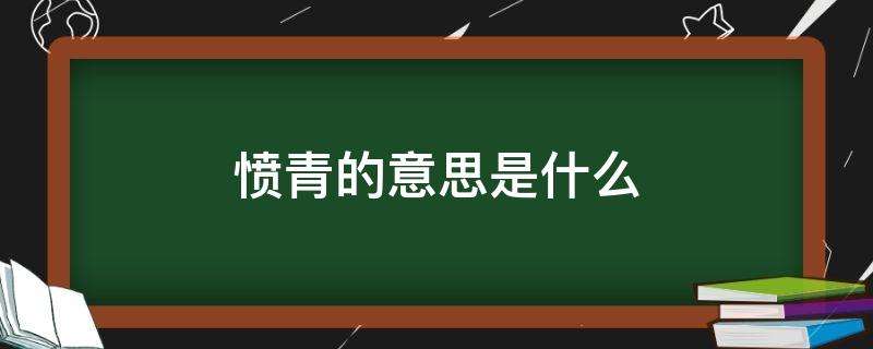 愤青的意思(愤青的意思是愤世忌俗吗)