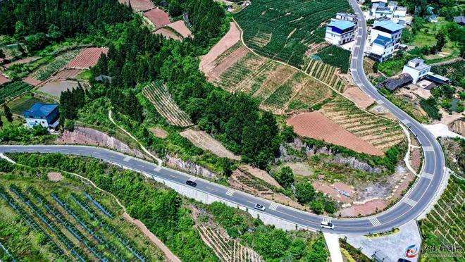 农村致富路(农村致富路种田文)